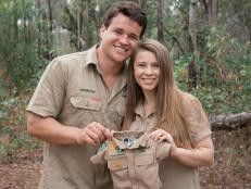 Bindi Irwin and her husband Chandler, stars of Crikey! It's the Iwins, announced they are expecting!