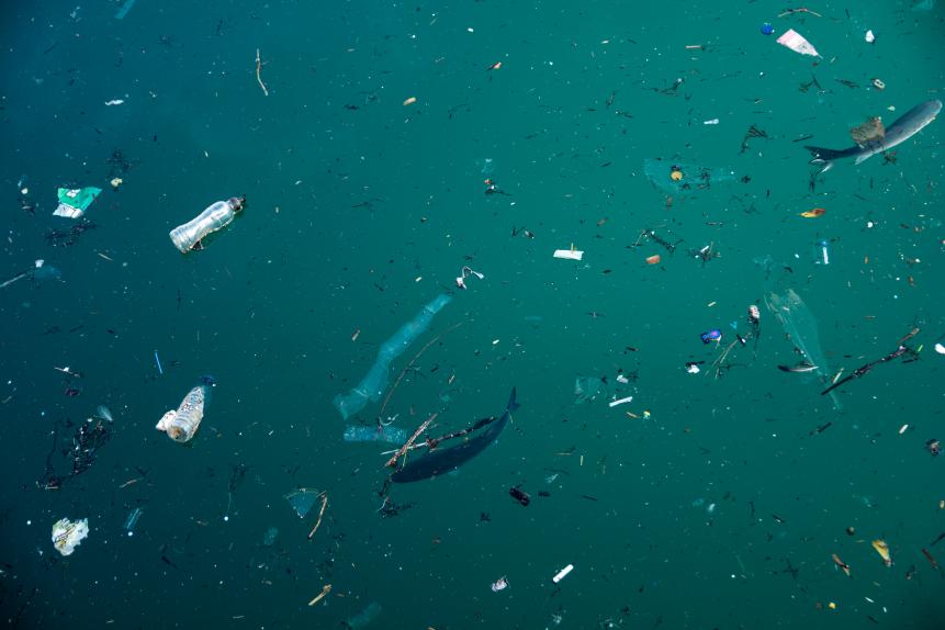 Fish and plastic pollution in sea. Microplastics contaminate seafood. Animals in the sea cannot live.